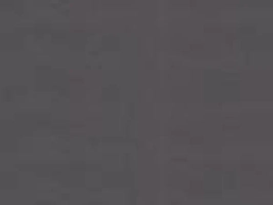 Ensemble 39" Overlap Front with ClearVue Mesh Gun Metal Trim for Meridian Series 36" Gas Fireplaces