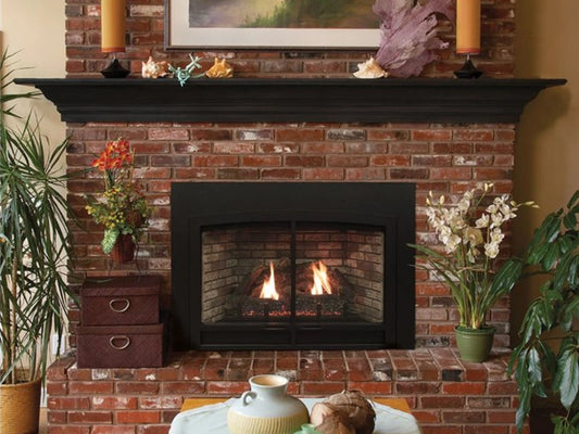Empire White Mountain Hearth Innsbrook 28" Small Direct Vent Clean Face Traditional Gas Fireplace Insert with Millivolt Control