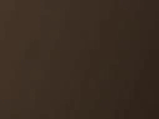 Ventura 46" New Bronze Overlap Front for Meridian Series 42" Gas Fireplaces