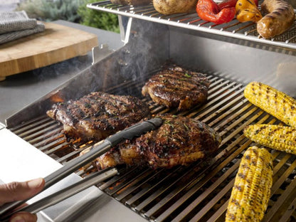 AOG L-Series 24" 2-Burner Liquid Propane Built-In Grill with Backburner and Rotisserie Kit High Performance Outdoor Cooking