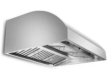 Blaze 42" Wall Mount Vent Hood for Outdoor Grill