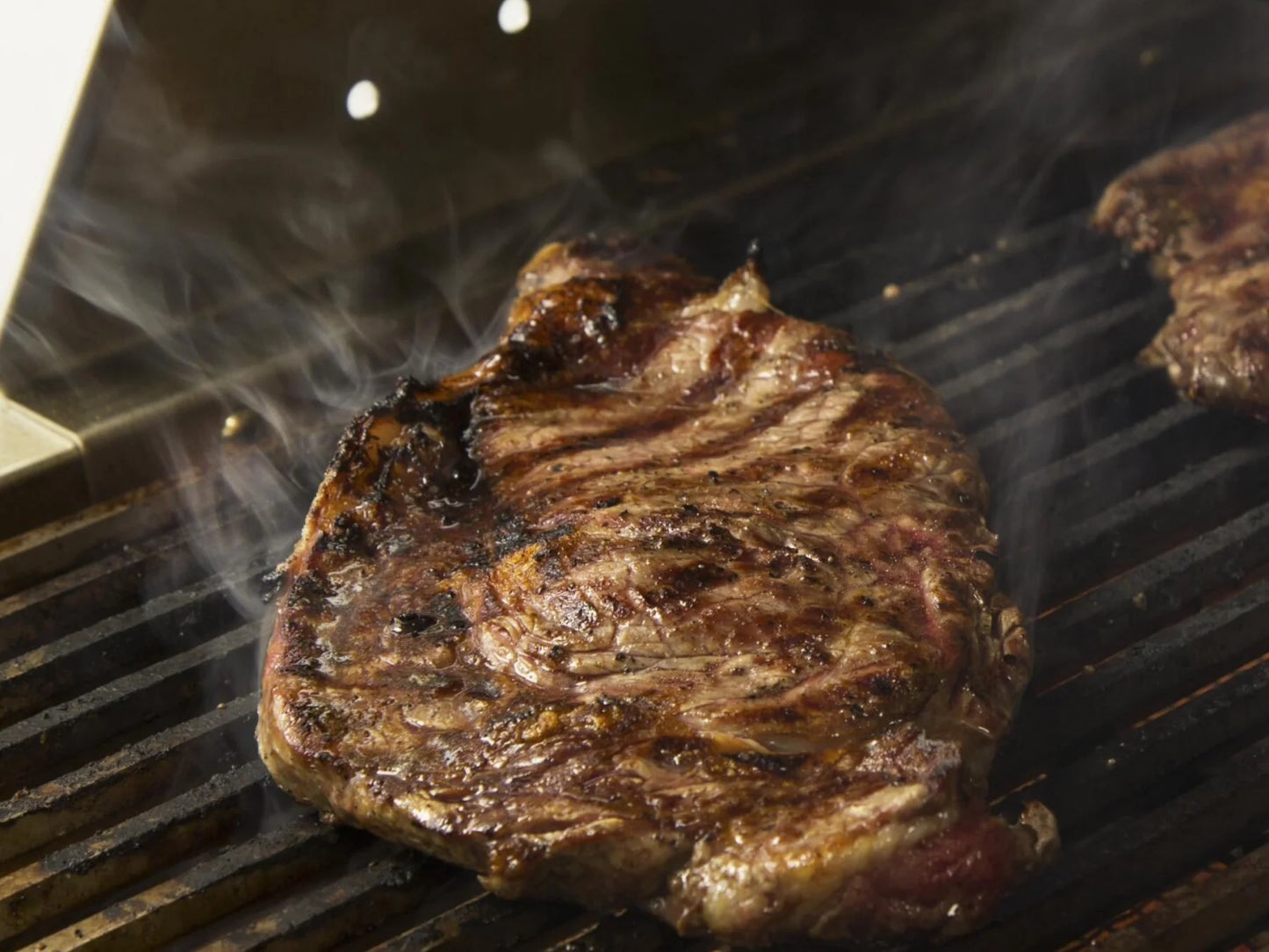 Blaze Infrared Searing Burner for Professional LUX Gas Grills