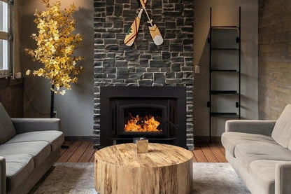 Model 81 Non Catalytic wood Stove with Black Door