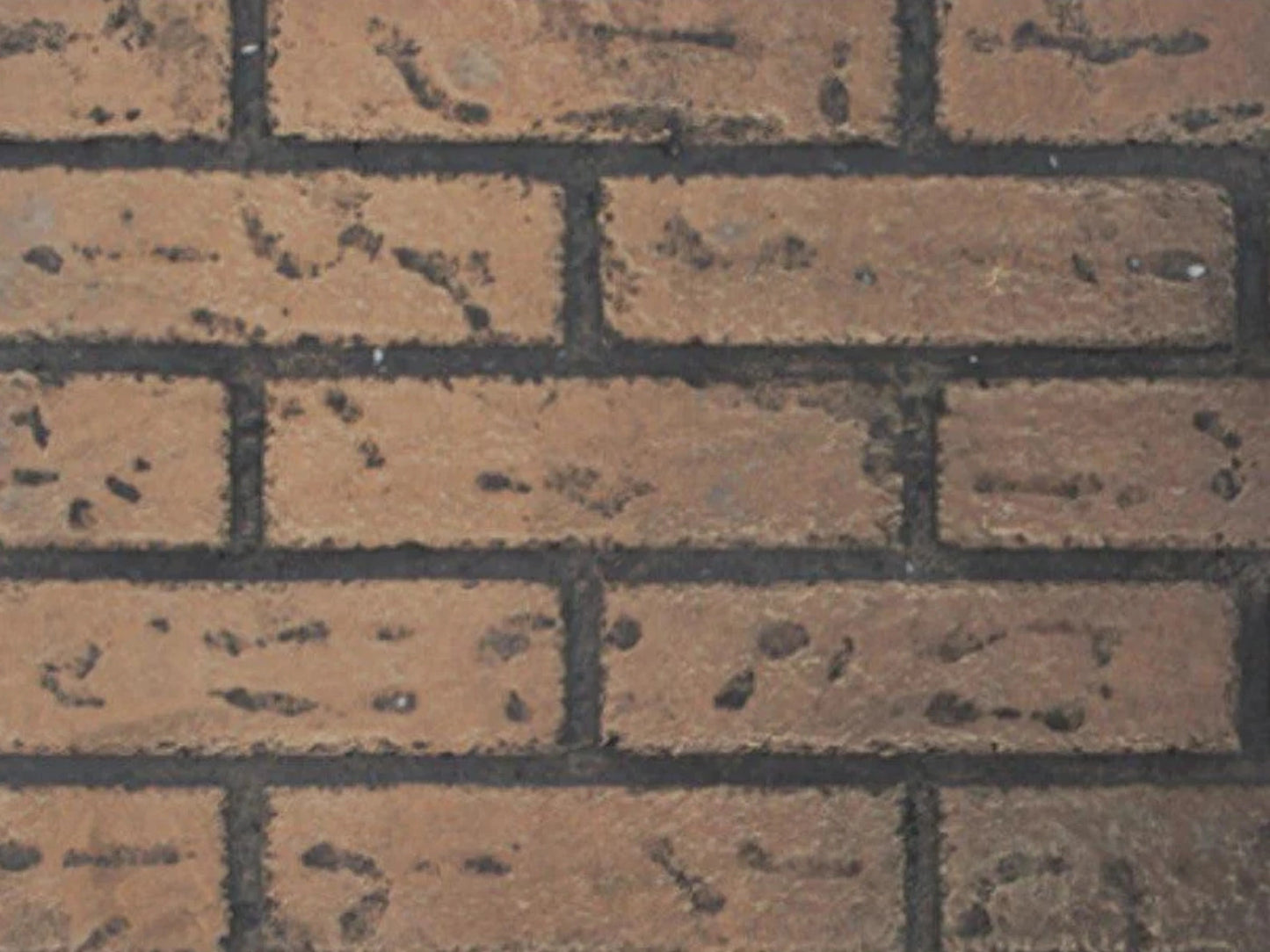 Liner, Traditional Brick