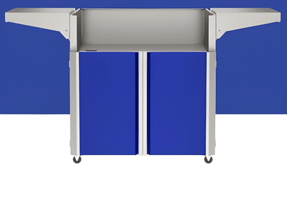 Accent Color Panel