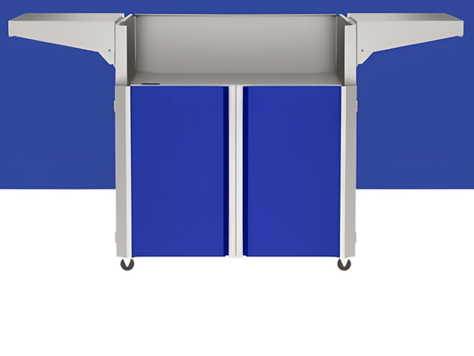 Accent Color Panel