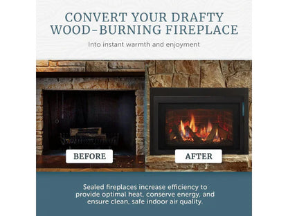 Majestic Ruby Platinum Medium 30" Direct Vent Natural Gas Fireplace Insert with IntelliFire Touch & Remote