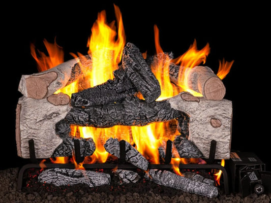 Real Fyre Charred Cinder Birch 24" Direct Vent Gas Log Set