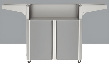 Accent Color Panel