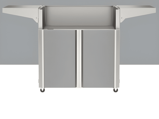 Accent Color Panel