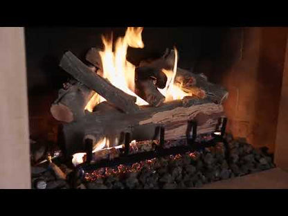 Grand Canyon Arizona Juniper Indoor/Outdoor Vented Gas Log Set (Logs Only)
