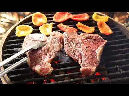 Blaze 20" Cast Aluminum Kamado Grill